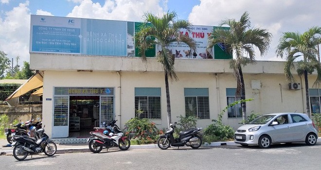 Nhiều người miền T&acirc;y mất ngủ v&igrave; ch&oacute; cưng lăn ra chết h&agrave;ng loạt - Ảnh 1.