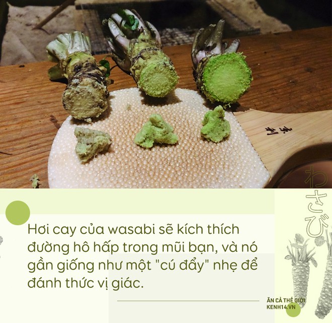 Sự thật đằng sau wasabi: thứ gia vị tưởng chừng như bình dị nhưng lại quý đến mức được người Nhật dùng để nộp thuế thay vàng - Ảnh 3.