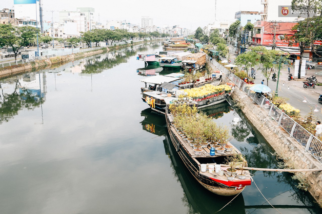 Chợ hoa Bến Bình Đông: Người Sài Gòn chi chục triệu chở Tết về nhà - Ảnh 1.