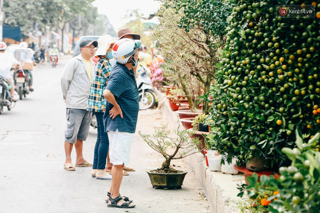 Chợ hoa Bến Bình Đông: Người Sài Gòn chi chục triệu chở Tết về nhà - Ảnh 6.