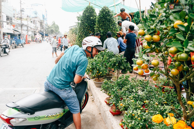 Chợ hoa Bến Bình Đông: Người Sài Gòn chi chục triệu chở Tết về nhà - Ảnh 7.