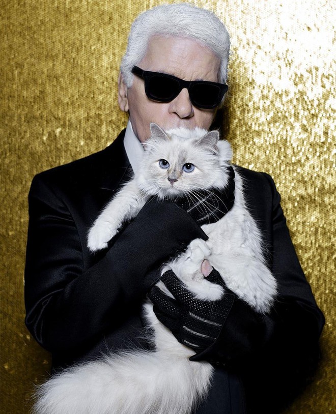 Chẳng phải ai khác, mèo Choupette mới chính là “nàng thơ” nổi tiếng nhất của Karl Lagerfeld với vẻ đẹp vừa sang chảnh lại ngọt ngào - Ảnh 1.
