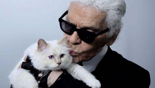 Chẳng phải ai khác, mèo Choupette mới chính là “nàng thơ” nổi tiếng nhất của Karl Lagerfeld với vẻ đẹp vừa sang chảnh lại ngọt ngào - Ảnh 2.