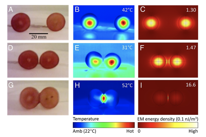 Hiện tượng bí ẩn khi cho 2 quả nho vào lò vi sóng và cuối cùng khoa học cũng giải mã thành công - Ảnh 3.