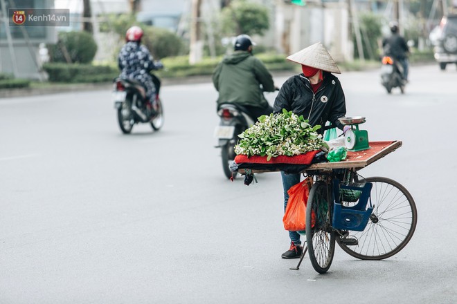 Hoa bưởi th&#225;ng 2 theo gi&#243; xuống phố H&#224; Nội, gi&#225; l&#234;n đến 300.000 đồng/kg vẫn ch&#225;y h&#224;ng - Ảnh 7.