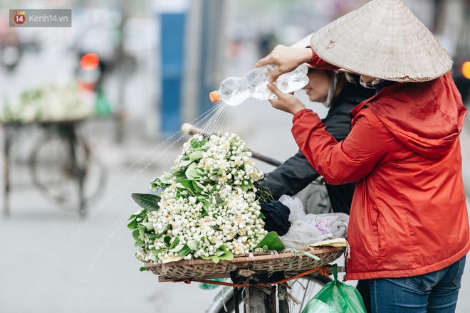 Hoa bưởi tháng 2 theo gió xuống phố Hà Nội, giá lên đến 300.000 đồng/kg vẫn cháy hàng - Ảnh 2.