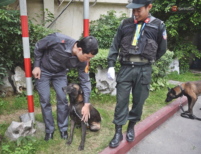 Tăng cường nhiều lớp an ninh, huy động cảnh khuyển đặc biệt của Việt Nam rà soát chất nổ tại khách sạn Melia - Ảnh 5.