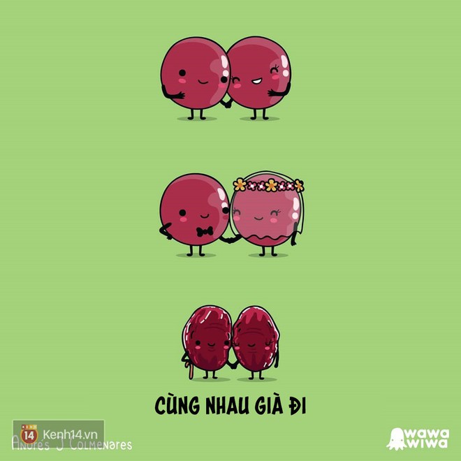 Ch&uacute;ng ta sẽ y&ecirc;u v&agrave; sống như thế n&agrave;o nếu một ng&agrave;y biến th&agrave;nh c&acirc;y xương rồng, quả cherry đỏ mọng? - Ảnh 5.