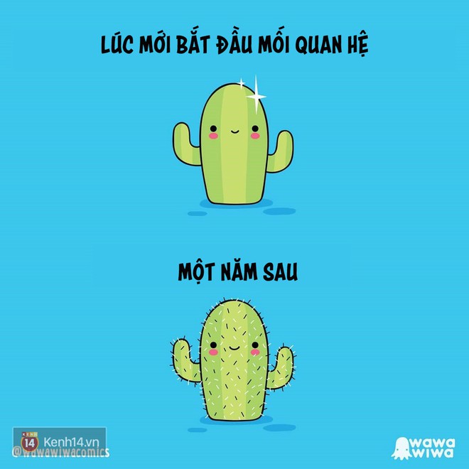 Ch&uacute;ng ta sẽ y&ecirc;u v&agrave; sống như thế n&agrave;o nếu một ng&agrave;y biến th&agrave;nh c&acirc;y xương rồng, quả cherry đỏ mọng? - Ảnh 19.