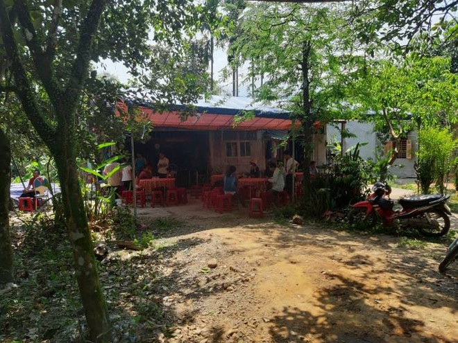 Chủ tịch Hội chữ thập đỏ x&atilde; ở Quảng Nam bị ong đốt tử vong - Ảnh 1.