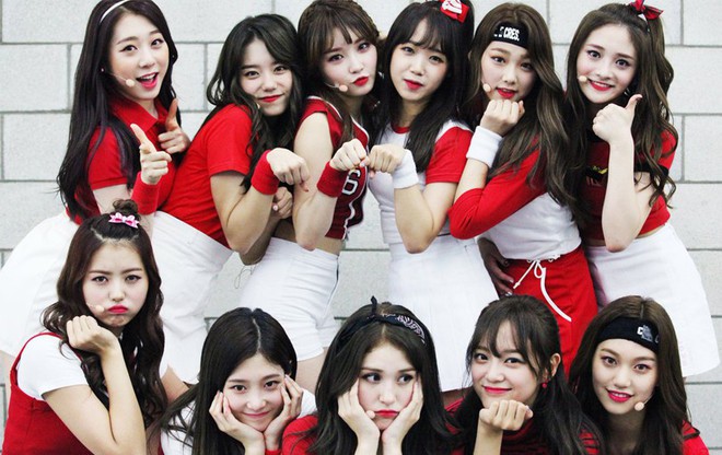 Đoán xem: Nhóm nhạc đàn em của I.O.I, Wanna One, IZ*ONE sẽ được hoạt động trong mấy năm? - Ảnh 2.