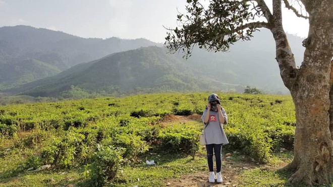 Ngoài làng Đo Đo thì Quảng Nam - quê hương của Mắt biếc cũng có rất nhiều điểm đến thú vị! - Ảnh 16.