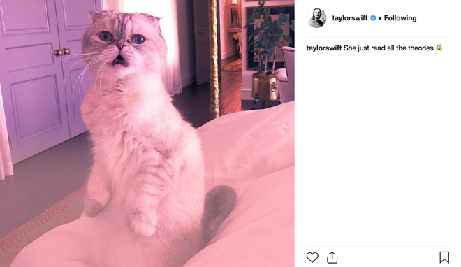 Kh&ocirc;ng thể tin được đ&acirc;y l&agrave; c&aacute;ch Taylor Swift đ&aacute;p trả fan về nghi vấn album mới  - Ảnh 1.