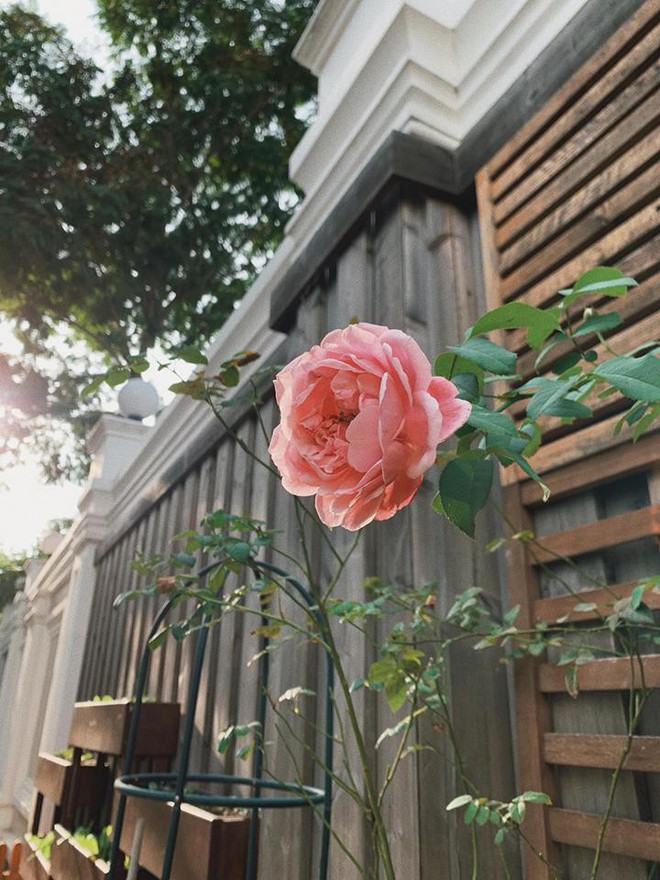 C&oacute; g&igrave; b&ecirc;n trong biệt thự triệu đ&ocirc; nh&agrave; Tăng Thanh H&agrave; những ng&agrave;y gi&aacute;p Tết Nguy&ecirc;n đ&aacute;n? - Ảnh 4.