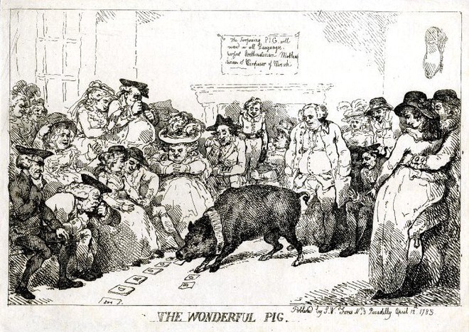 Những ch&uacute; lợn ghi dấu ấn trong lịch sử  - Ảnh 1.