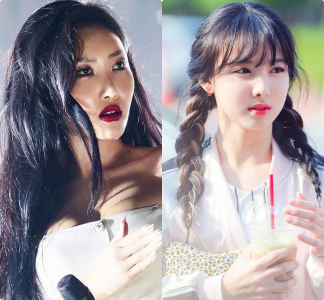 Cùng sinh năm 1995, Hwasa (MAMAMOO) hoàn toàn đối lập với Nayeon (TWICE) khi đi show thực tế - Ảnh 1.