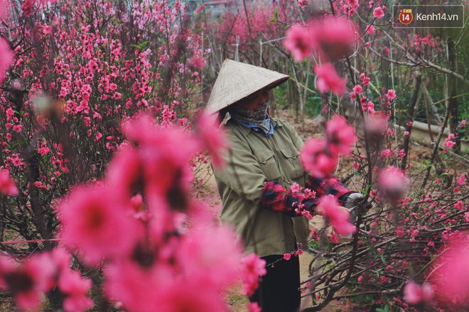 Bạn có biết gọi Bánh chưng, Tết trong Tiếng Anh như thế nào là đúng không? - Ảnh 2.