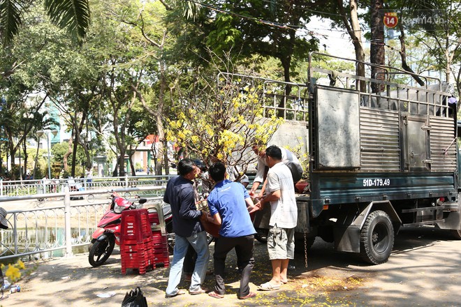 Trưa 30 Tết, cây cảnh giảm giá 50% vẫn chẳng có người mua, nhiều tiểu thương Sài Gòn tự tay đập chậu hoa cảnh, vứt la liệt ở công viên - Ảnh 5.