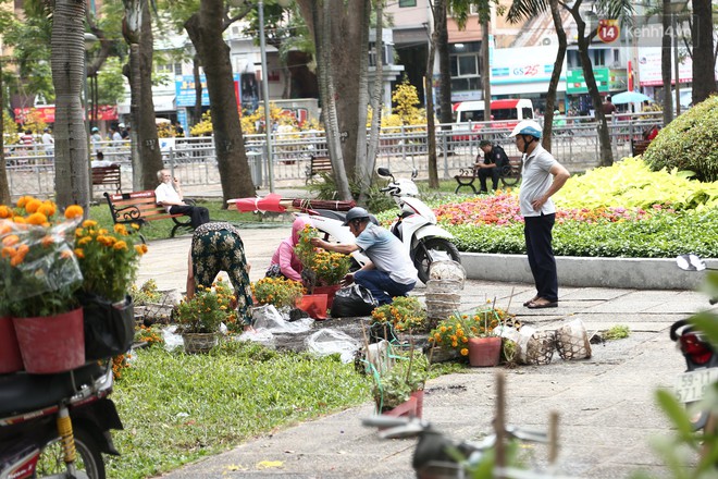 Trưa 30 Tết, nhiều tiểu thương Sài Gòn tự tay đập chậu hoa cảnh, vứt la liệt ở công viên - Ảnh 9.