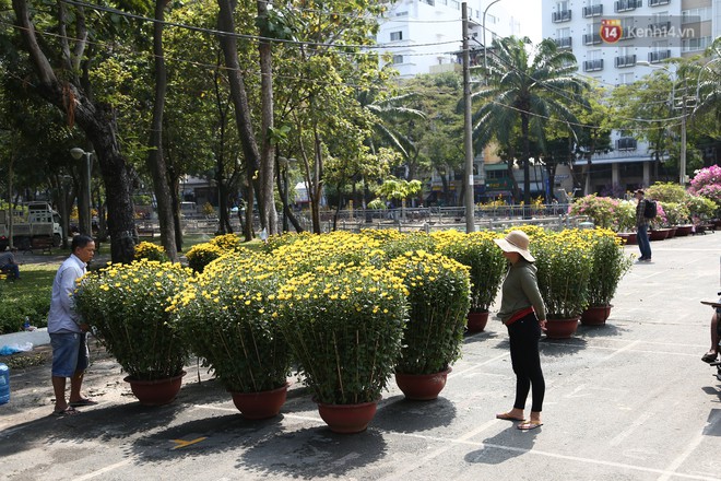 Trưa 30 Tết, nhiều tiểu thương Sài Gòn tự tay đập chậu hoa cảnh, vứt la liệt ở công viên - Ảnh 3.