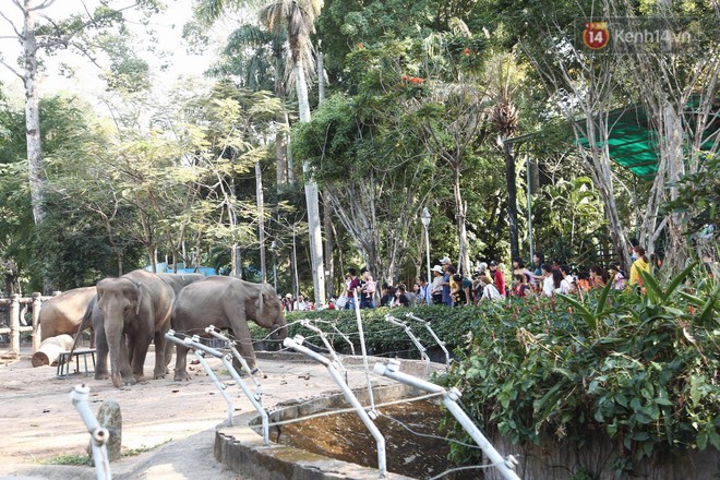 Đi chơi lễ, người dân trải bạt, ngồi ăn uống la liệt trong Thảo Cầm Viên dịp đầu năm mới Kỷ Hợi  - Ảnh 2.