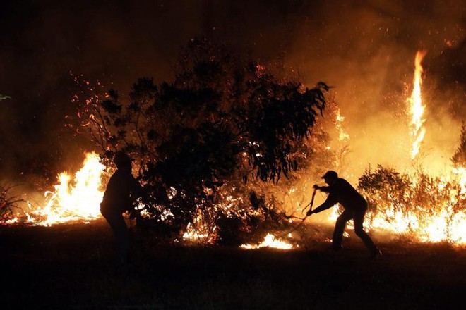 Chile tuyên bố tình trạng thảm họa tại 3 khu vực cháy rừng  - Ảnh 1.