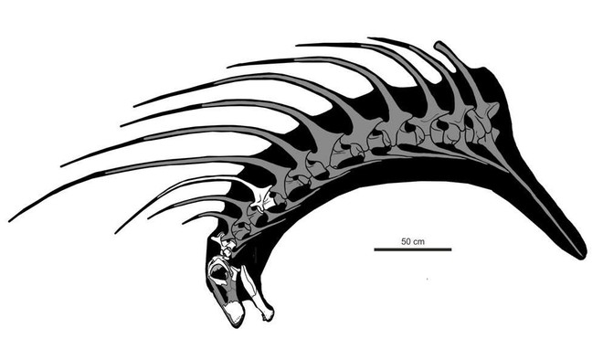 Tìm ra con khủng long siêu ngầu: có bờm như trẻ trâu nhưng thực chất là vũ khí chết người - Ảnh 3.