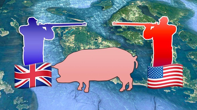 Câu chuyện về War Pig và Pig War: từ những con lợn quật ngã cả voi, đến nguy cơ gây đại chiến giữa 2 cường quốc - Ảnh 5.