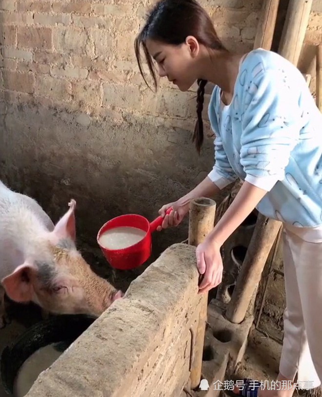 Đăng ảnh cho lợn ăn, nữ sinh xinh đẹp bị dân mạng ném đá không thương tiếc vì làm màu - Ảnh 4.