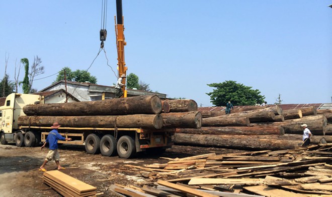 Bị hàng tấn gỗ đè xuống người khi tháo dỡ từ xe tải, tài xế ở Quảng Nam tử vong - Ảnh 1.