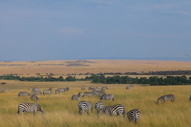 Choáng với hành trình 10 ngày rong ruổi Kenya - châu Phi với toàn những trải nghiệm có 1-0-2: Ai mê khám phá nhất định không được bỏ qua! - Ảnh 18.