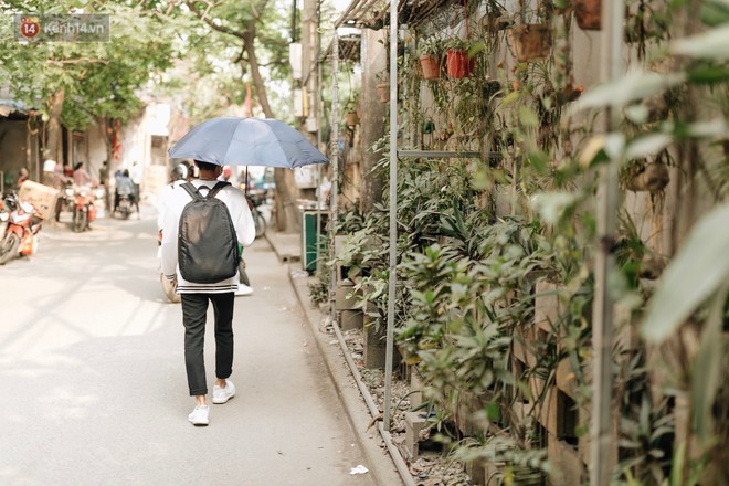 Không được người dân chăm sóc, những vườn hoa sinh ra từ bãi rác ở Hà Nội đã héo úa: Cần lắm sự chung tay của cả cộng đồng! - Ảnh 2.