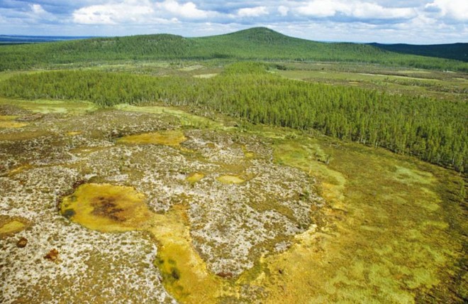 Bí ẩn thế kỷ về vụ nổ siêu khủng xoá sổ 80 triệu cây cối ở Siberia, Nga - Ảnh 4.