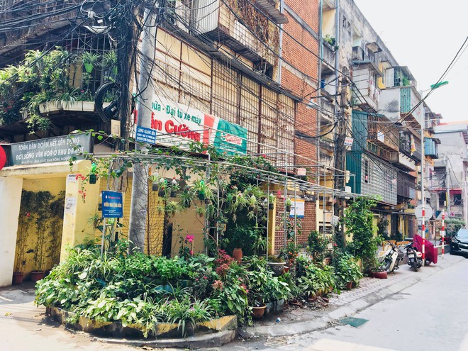 Không được người dân chăm sóc, những vườn hoa sinh ra từ bãi rác ở Hà Nội đã héo úa: Cần lắm sự chung tay của cả cộng đồng! - Ảnh 17.