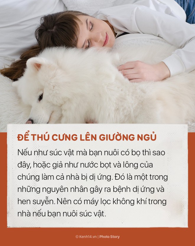 Sáng dậy cảm thấy đau mỏi, khó chịu thì có thể bạn phải từ bỏ những thói quen không tốt khi ngủ này - Ảnh 11.