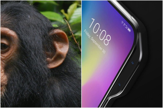 Apple có “tai thỏ”, còn hãng Trung Quốc này lại thích làm smartphone “tai khỉ” mới chất - Ảnh 2.