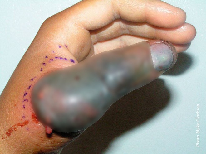 Kh&ocirc;ng phải hổ mang, đ&acirc;y mới xứng l&agrave; con rắn đ&aacute;ng sợ nhất thế giới: N&oacute; c&oacute; thể mổ m&agrave; kh&ocirc;ng cần mở miệng - Ảnh 3.