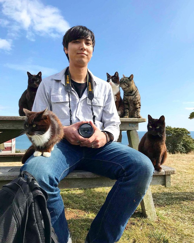 Đến thăm đảo mèo lớn nhất Nhật Bản, hội con sen đến đây thì đảm bảo sướng phát ngất! - Ảnh 9.