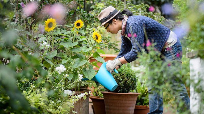 Những thú vui tao nhã dễ dàng nâng cấp cuộc đời bạn về sức khoẻ thể chất lẫn tinh thần - Ảnh 2.