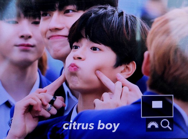 Dàn trai đẹp trong 101 thí sinh Produce X gây bão tại buổi ra mắt: Cực phẩm, chưa debut đã có cả chục fansite - Ảnh 17.