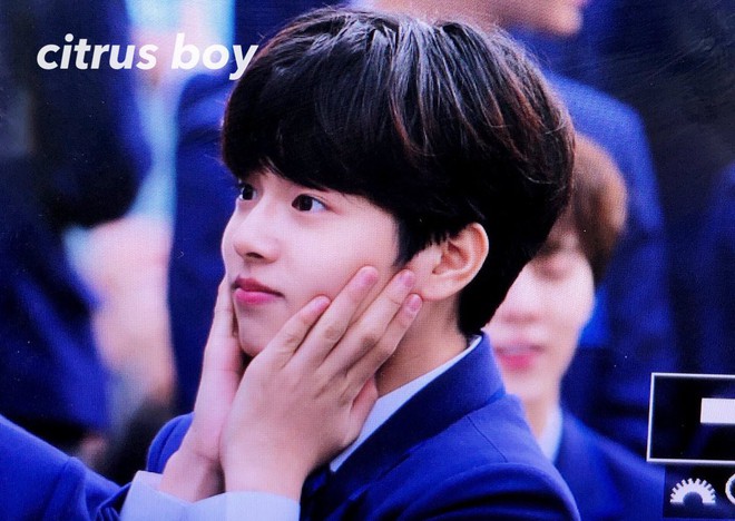 Dàn trai đẹp trong 101 thí sinh Produce X gây bão tại buổi ra mắt: Cực phẩm, chưa debut đã có cả chục fansite - Ảnh 16.