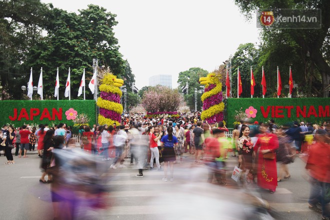 Người dân Thủ đô chen chúc tham gia, check - in tại lễ hội hoa anh đào 2019 dịp cuối tuần - Ảnh 1.