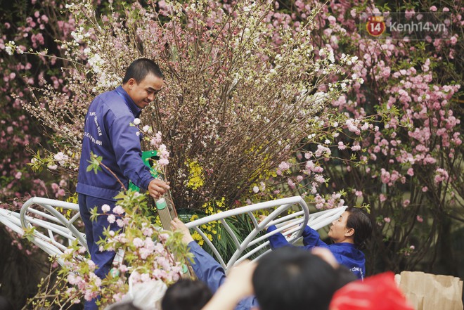 Người dân Thủ đô chen chúc tham gia, check - in tại lễ hội hoa anh đào 2019 dịp cuối tuần - Ảnh 4.