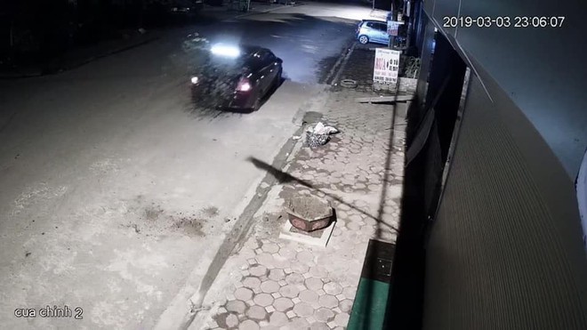 Bắc Giang: Đ&ocirc;i nam nữ đi xế hộp chung tay b&ecirc; trộm c&acirc;y đ&agrave;o rồi lặn mất trong đ&ecirc;m khuya thanh vắng - Ảnh 3.