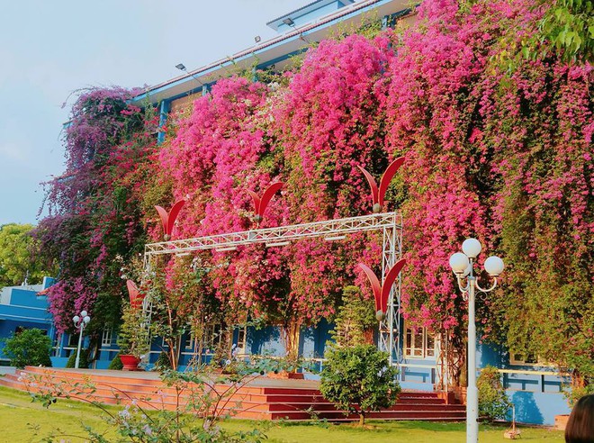 Xuất hiện ngôi trường với giàn hoa giấy khổng lồ nhuộm hồng cả góc trời, sống ảo cứ gọi là mê li trở lên! - Ảnh 1.