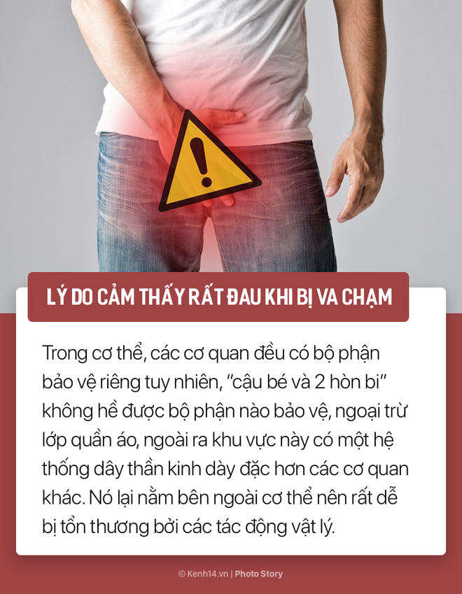 Nếu như chẳng may “cậu bé” bị va đập mạnh thì hãy lưu ý những cách xử lý này - Ảnh 3.