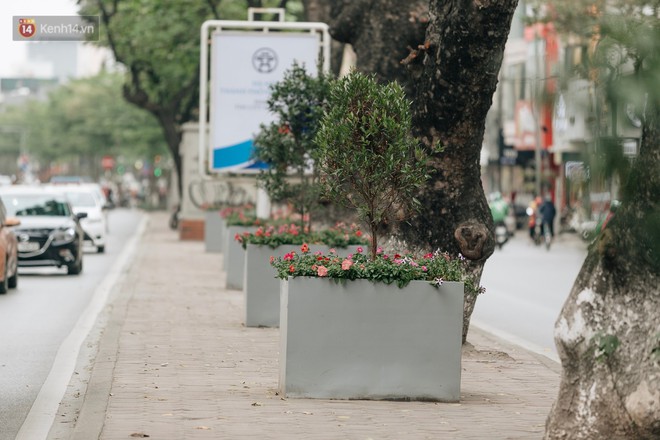 Clip bức xúc: Nhiều người dừng xe giữa đường phố Hà Nội mót hoa trang trí, lãnh đạo Công ty Công viên cây xanh lên tiếng - Ảnh 10.