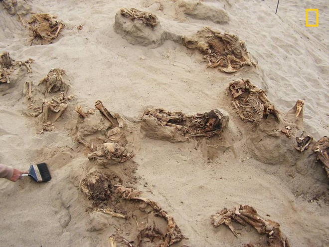 Khai quật khu hiến tế trẻ em lớn nhất lịch sử: Hàng trăm bộ xương lộ ra, đã bị lấy mất nội tạng - Ảnh 2.