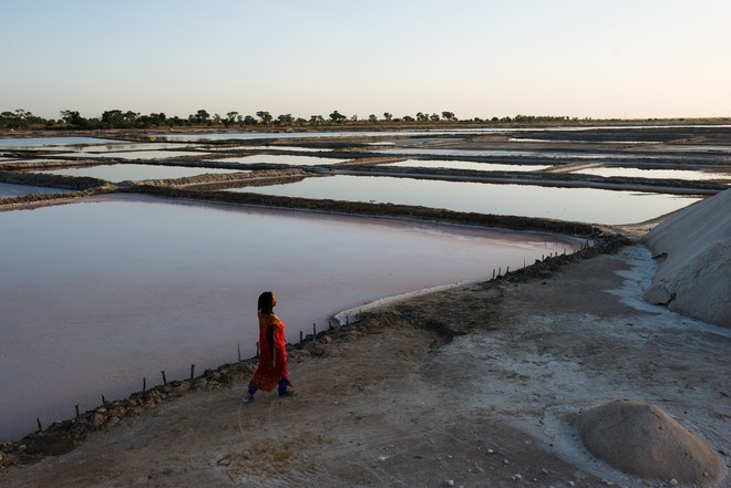 Nữ hoàng muối Sénégal: Người mẹ “cứu” cả quốc gia bằng... muối - Ảnh 2.