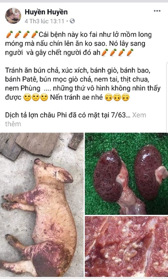 Đề nghị xử l&yacute; nghi&ecirc;m người tung tin đồn thất thiệt về dịch tả lợn ch&acirc;u Phi - Ảnh 1.